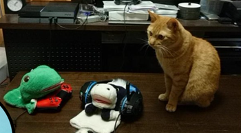 パペットマペット イケメン 素顔