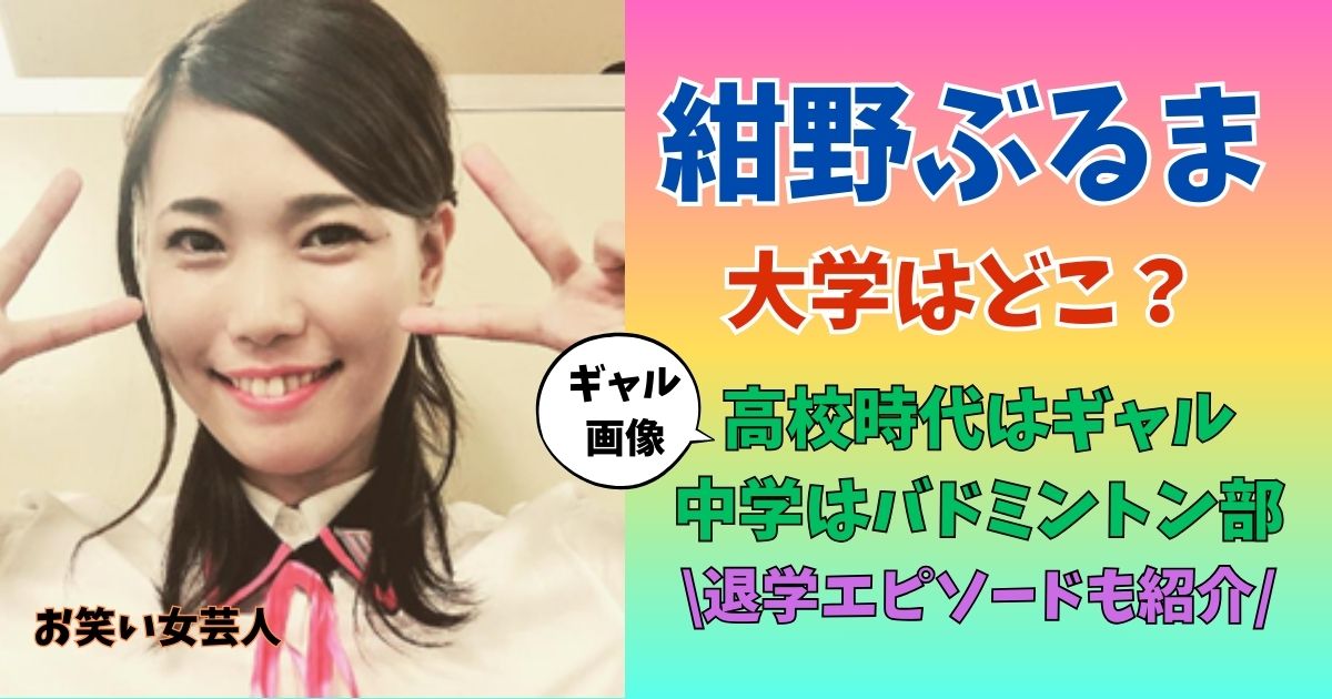 紺野ぶるま 大学 高校